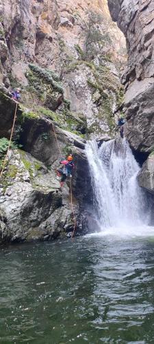 WhatsApp-Image-2025-04-06-at-21.31.05-6