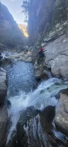 WhatsApp-Image-2025-04-07-at-20.09.16-2