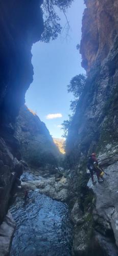 WhatsApp-Image-2025-04-07-at-20.09.16-3