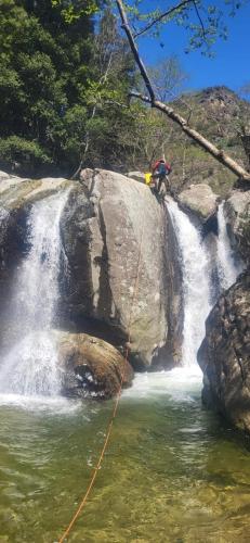 WhatsApp-Image-2025-04-07-at-20.09.18-1