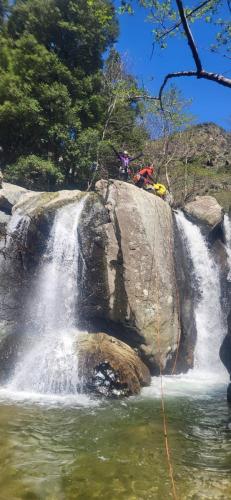 WhatsApp-Image-2025-04-07-at-23.56.30-3