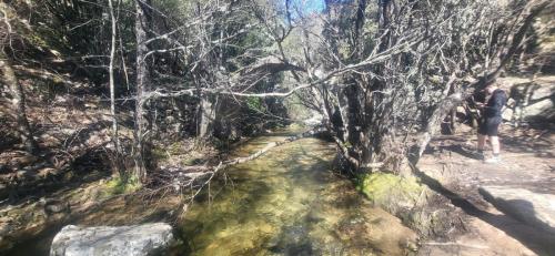 WhatsApp-Image-2025-04-07-at-23.56.32-1