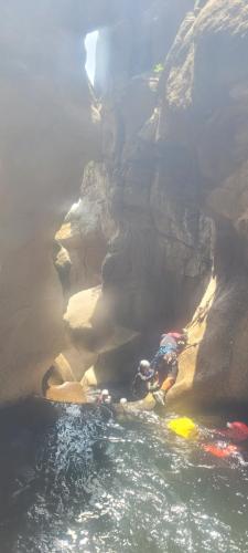 original 14ffad56-e1c5-4e8b-84cb-24f0e0cbee00 20250614 122127