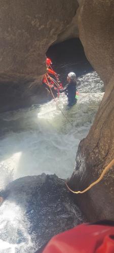 original 17450b96-609c-43df-b1b9-2a9812d2ddb9 20250614 115140