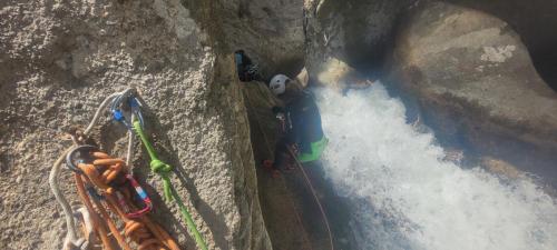 original 2c6148f9-de88-40c9-9bee-a64edd6e725b 20250614 124814