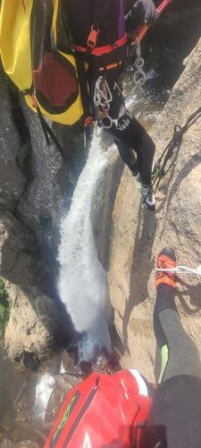 original 5bd85b33-24e4-4ab8-add7-47f41f8716e6 20250614 135840