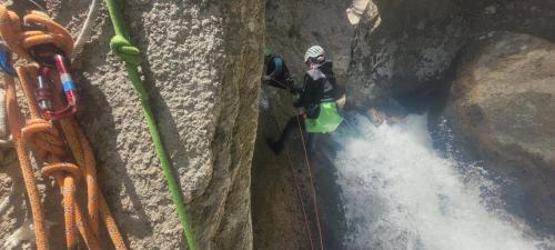 original 74ccc529-1a30-4700-81f6-5c94aa3f351a 20250614 125122