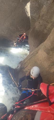 original 84c5a1af-1b76-4d26-958e-e72e1ac5b108 20250614 114816