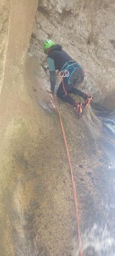 original 976808ed-fbfe-4428-8fa7-9d9c0fe3d5e5 20250614 125601