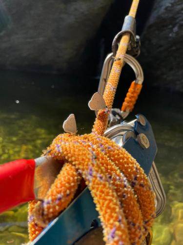 WhatsApp-Image-2025-06-30-at-18.57.58-1