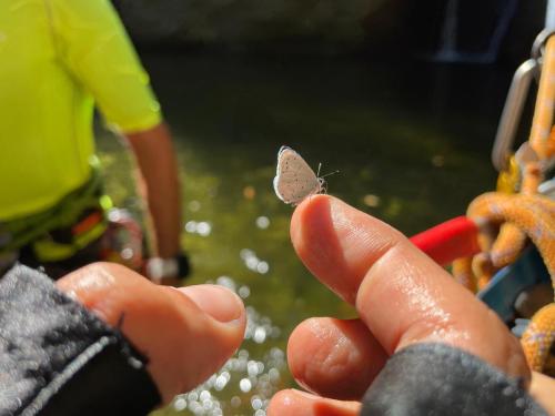 WhatsApp-Image-2025-06-30-at-18.57.59-1