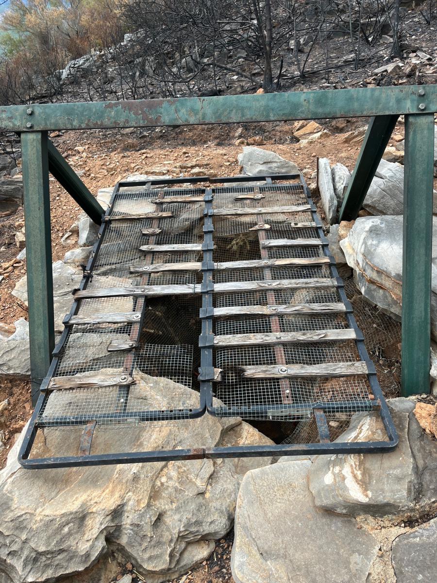 2025-10-25-Cast-Lidar LMJC 08