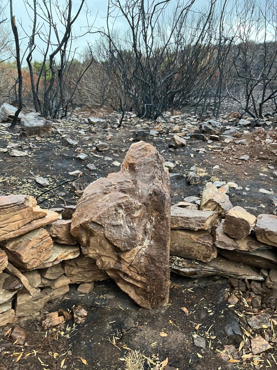 2025-10-25-Cast-Lidar LMJC 14