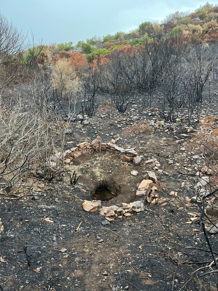 2025-10-25-Cast-Lidar LMJC 15