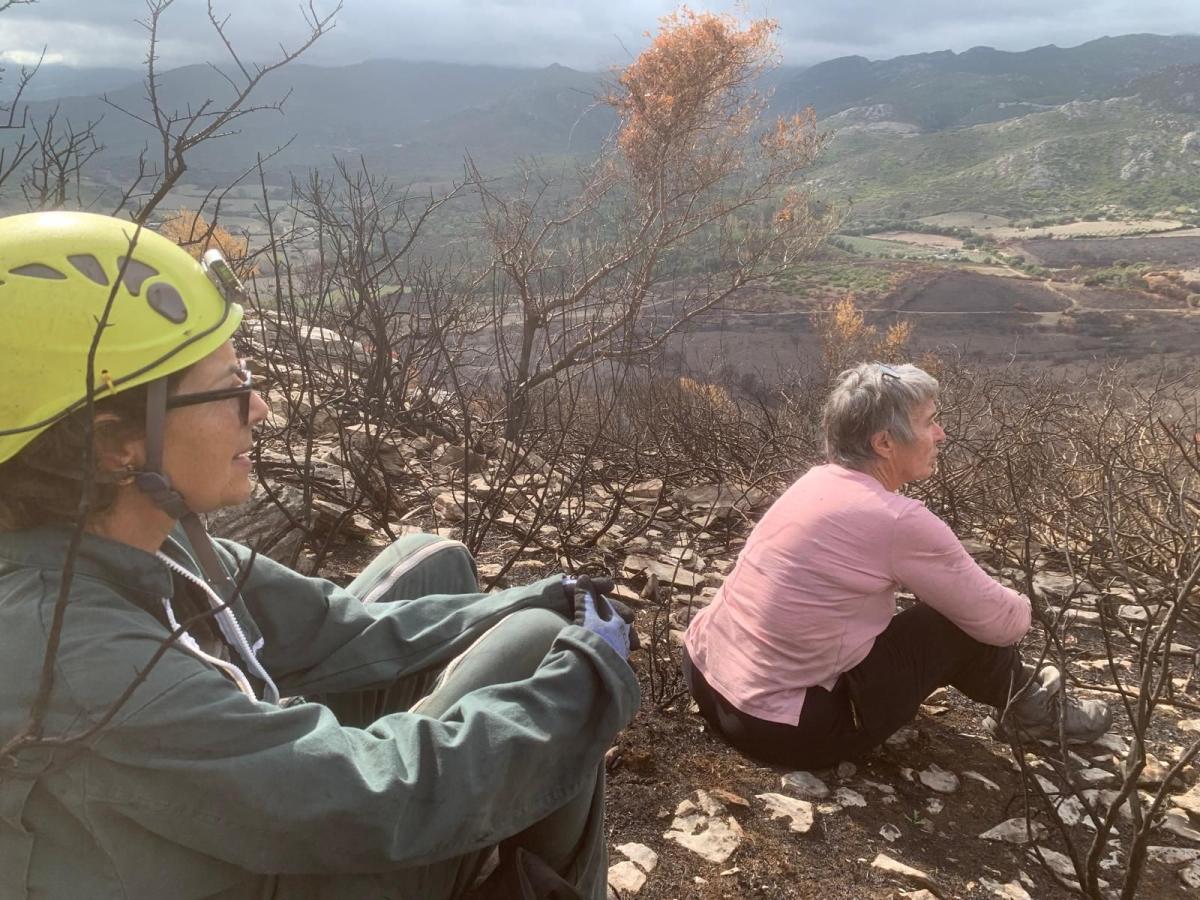 Réflexion vers Cast 15