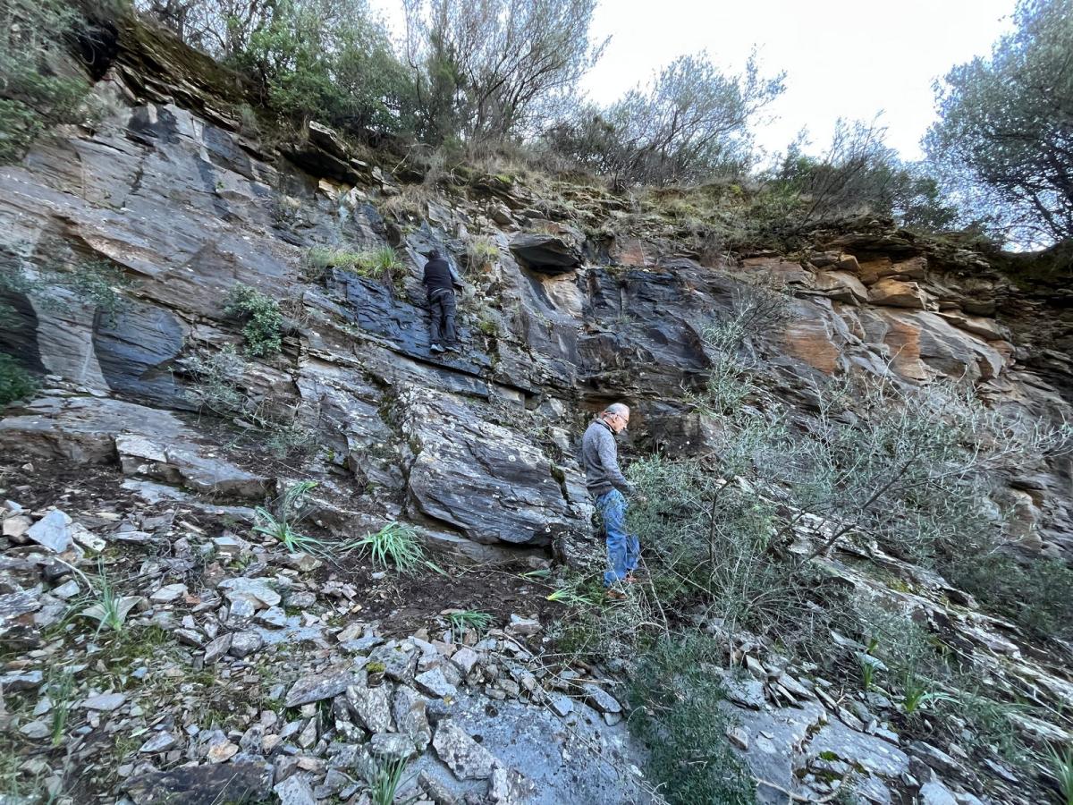 2026-01-11-Falaise-A-Tozza-LMJC-001