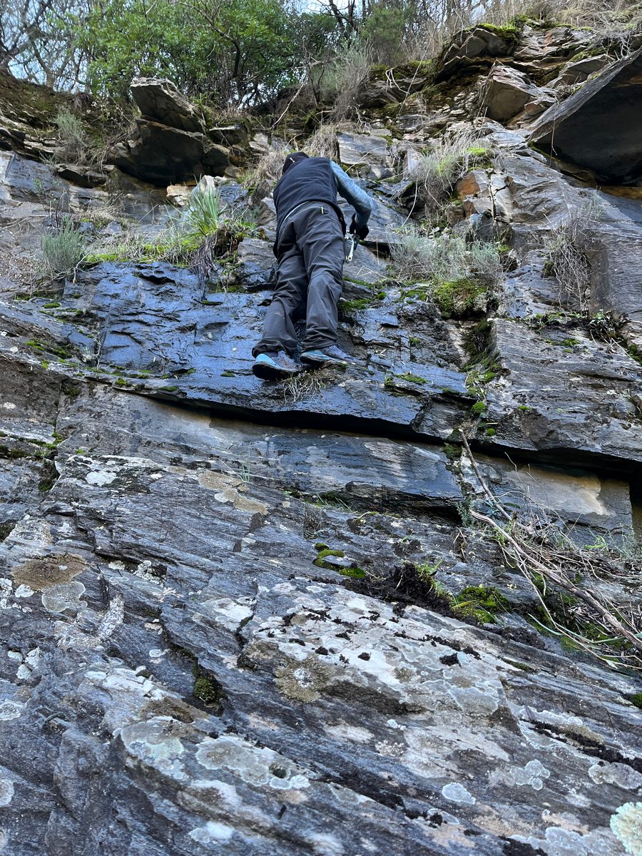 2026-01-11-Falaise-A-Tozza-LMJC-002