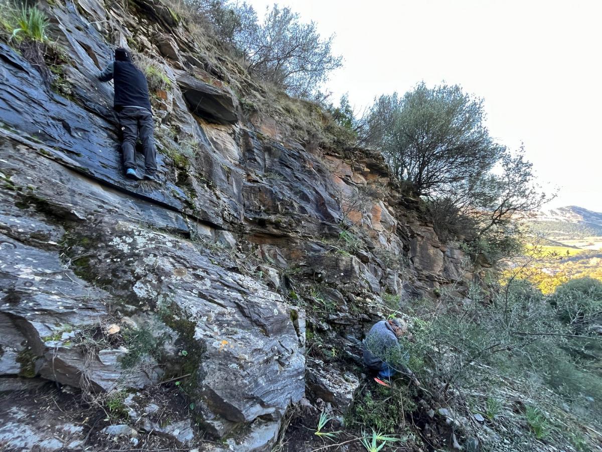 2026-01-11-Falaise-A-Tozza-LMJC-003