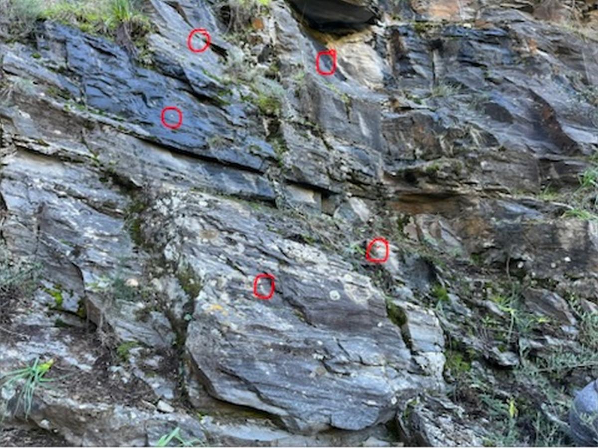 2026-01-11-Falaise-A-Tozza-LMJC-005