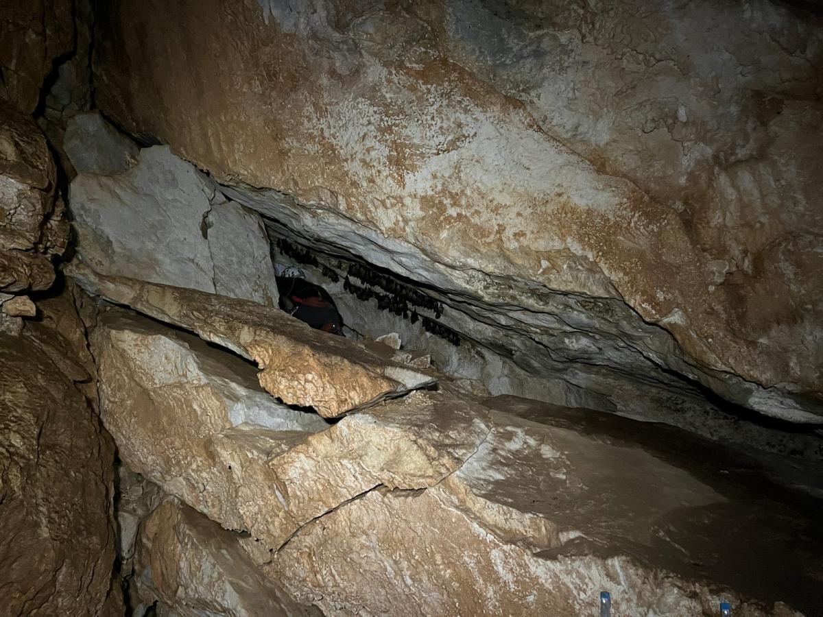 2026-01-24-Faille-Supietra-LMJC-004