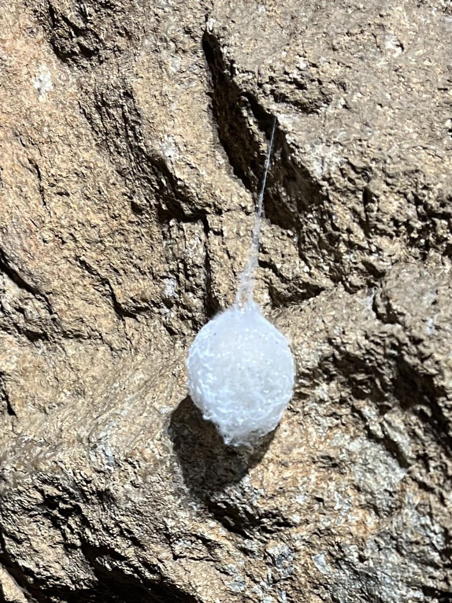 2026-01-24-Faille-Supietra-LMJC-014