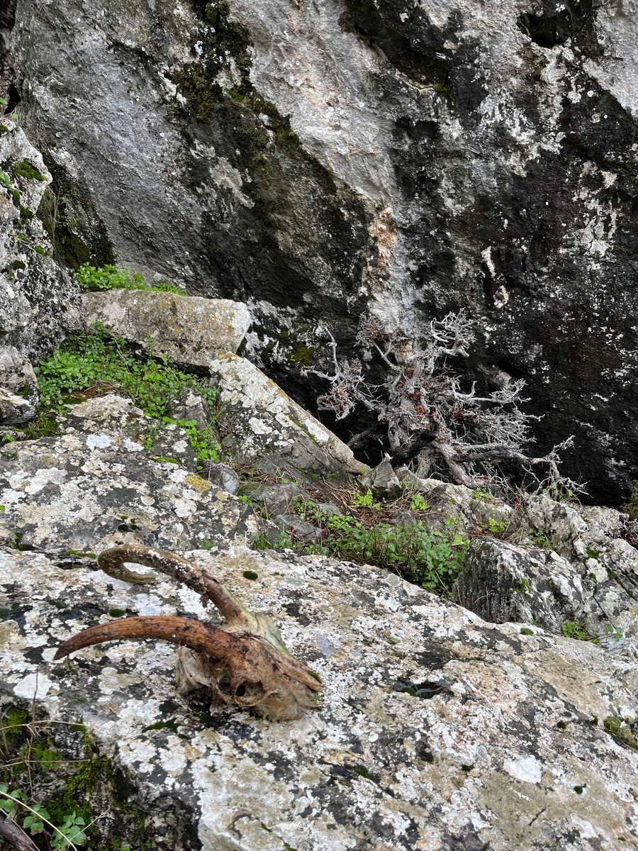 2026-01-24-Faille-Supietra-LMJC-016