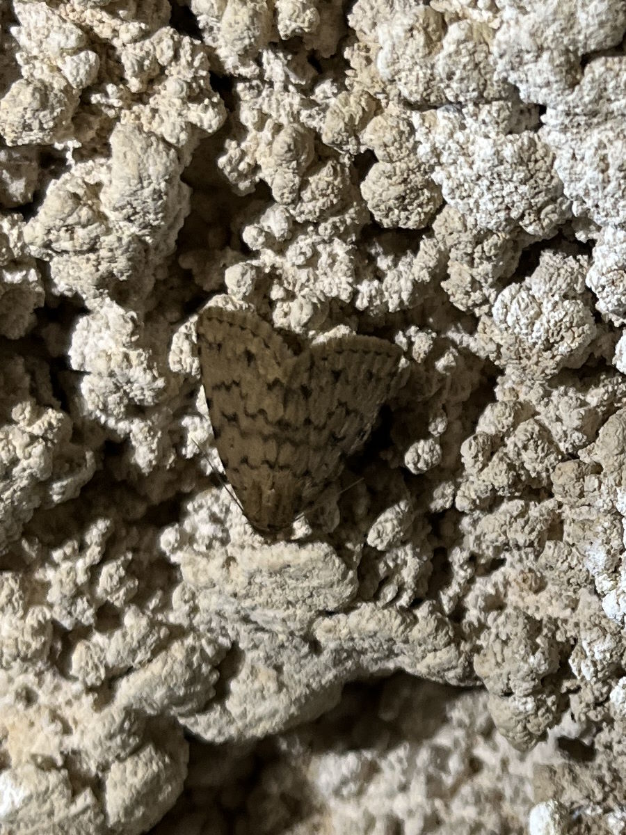 2026-01-24-Faille-Supietra-LMJC-019