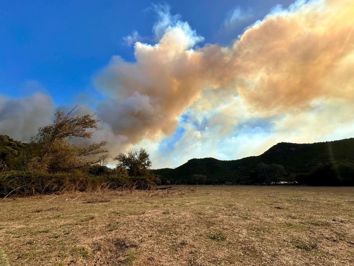 WhatsApp-Image-2025-10-14-at-14.14.38-7