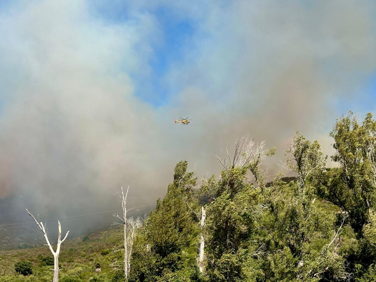 WhatsApp-Image-2025-10-14-at-14.14.38-9