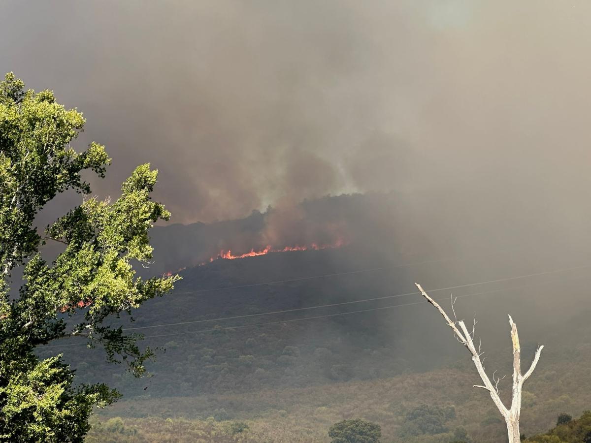 WhatsApp-Image-2025-10-14-at-14.14.39-1