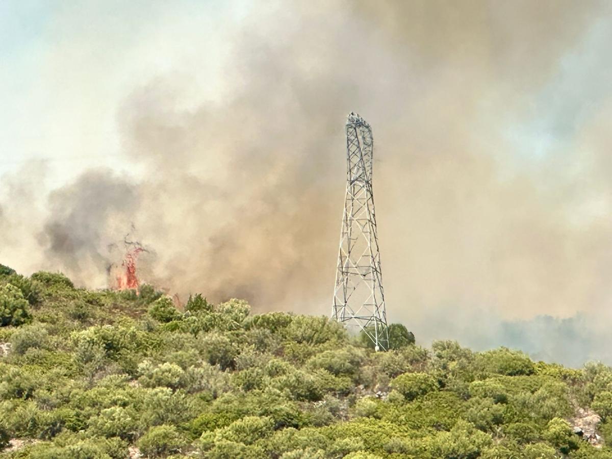 WhatsApp-Image-2025-10-14-at-14.14.39-2