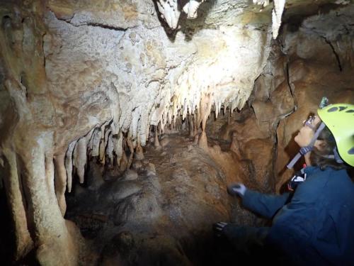 2025-02-02-Cast-3-Serigio PHP 003