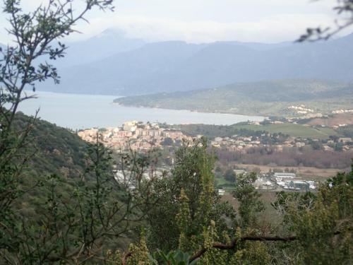 2025-02-02-Cast-3-Serigio PHP 007