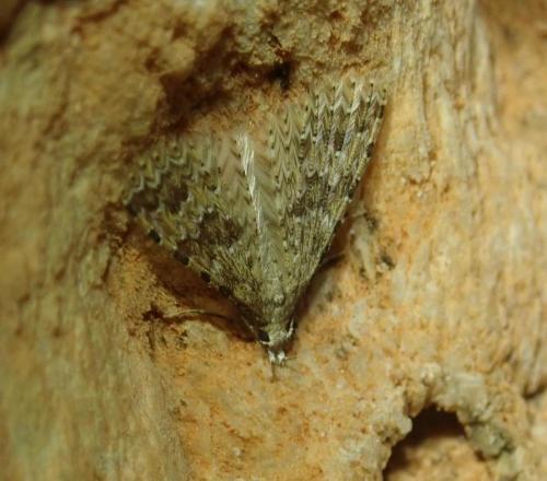 2025-02-02-Cast-3-Serigio PHP 009