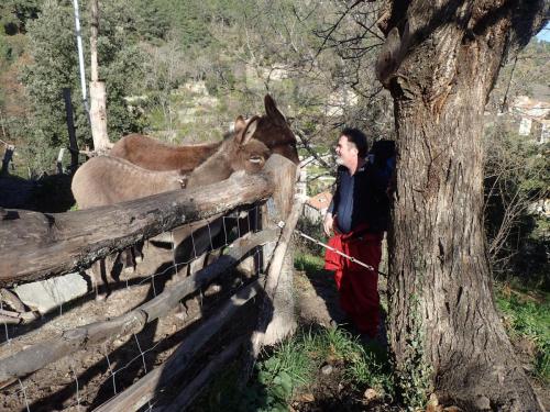Une vieille connaissance !