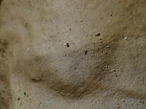 Parabathyscia and Co