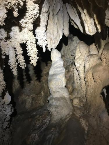 2025-02-16 Razzu Biancu-Begood