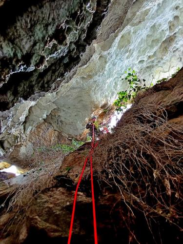 2025-03-02-Leonardo-Canelle AT 002