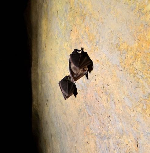 2025-03-02-Leonardo-Canelle AT 005