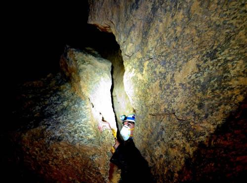 2025-03-02 Léonardi