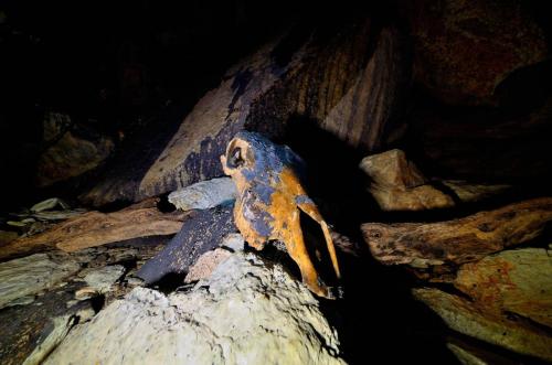 2025-03-02-Leonardo-Canelle AT 007