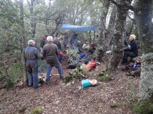 2025-03-09 I Luminelli