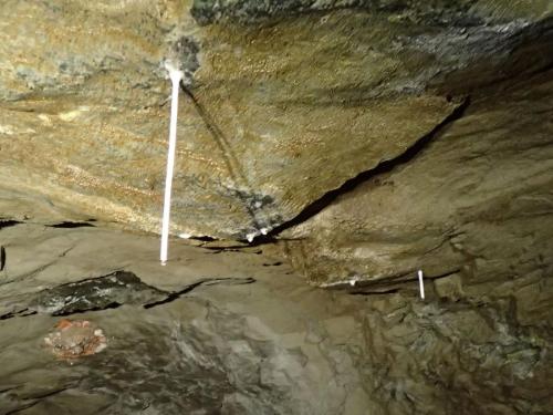 2025-03-23-Negru-Minrrienne LMJC 014