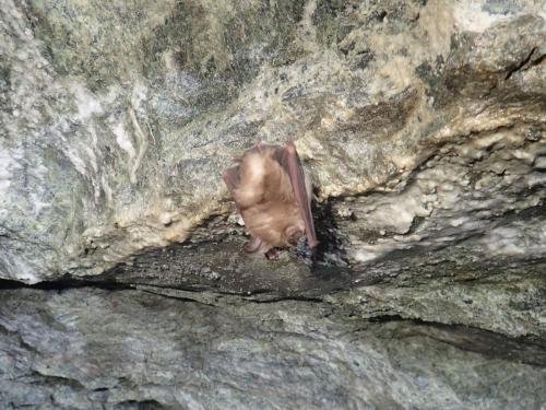 2025-03-23-Negru-Minrrienne LMJC 026