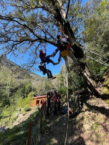 2025-04-05-Mulinu ITP 001