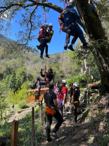 2025-04-05-Mulinu ITP 002