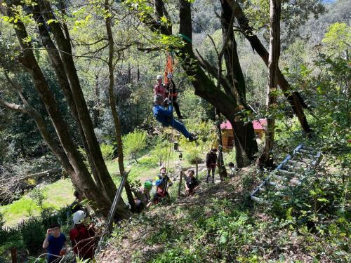 2025-04-05-Mulinu ITP 003