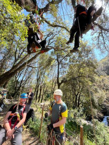 2025-04-05-Mulinu ITP 004