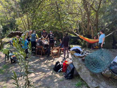 2025-04-05-Mulinu ITP 005