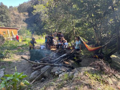 2025-04-05-Mulinu ITP 006